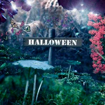 Halloween 스톡 사진