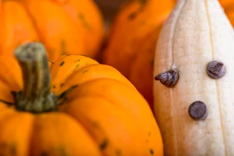 Halloween Stock Photos