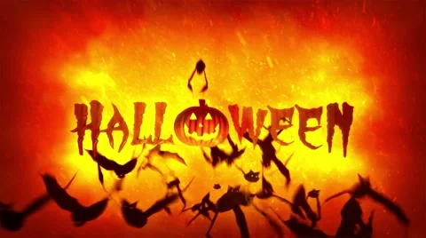 Halloween Pumpkin and Bats Video Animation 4k Stock Footage