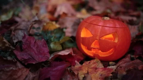 Halloween Pumpkin and Foliage (Loop) Stock Footage 233897964