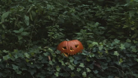 Halloween pumpkin is blown up with dynamite. Video stock 219309253