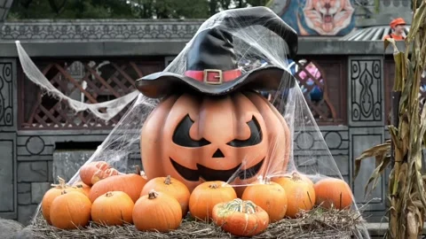 Halloween pumpkin close up, 4k Stock Footage 219866259