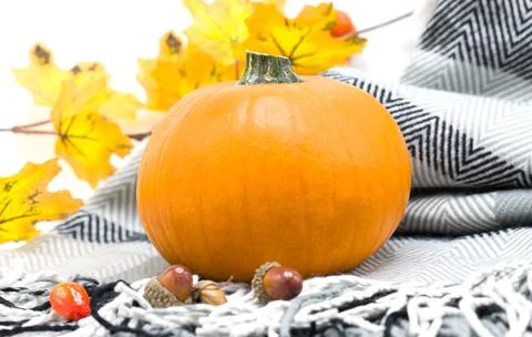Halloween pumpkin close-up with beautiful holiday background Stock Photos