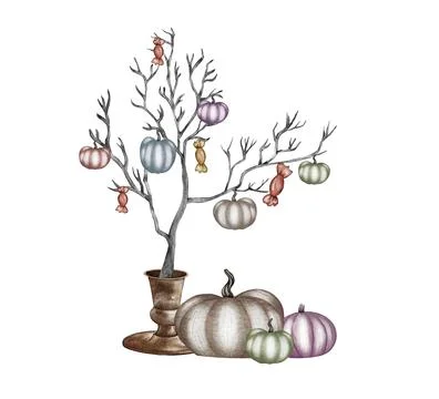 Halloween pumpkin composition. Bat, skull, pumpkin on a tray, magic book, ink Stock Illustration