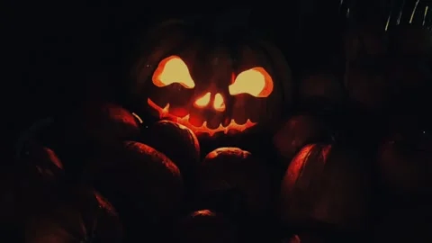 Halloween Pumpkin on the the Dark Background. Evil Pumpkin perfect for the .. Stock Footage 318779088