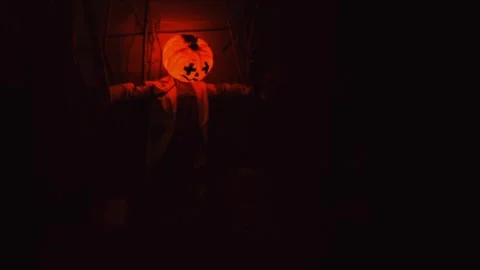 Halloween Pumpkin on the the Dark Background. Evil Pumpkin perfect for the .. Stock Footage 318779096