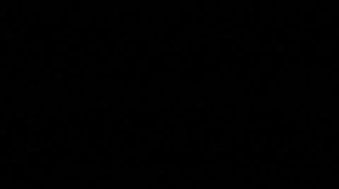 Halloween pumpkin in the dark (intermittent) Vidéo 8973904