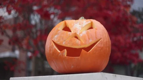 Halloween Pumpkin Decoration Stock Footage 69139656