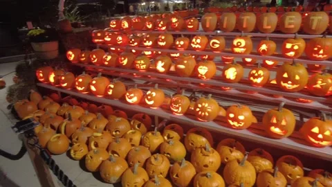 Halloween Pumpkin Display Stock Footage 163910077