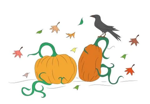Halloween pumpkin drawing color, vector Stock Illustration