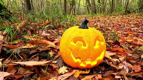 A Halloween pumpkin in the enchanted forest Video stock 319966949