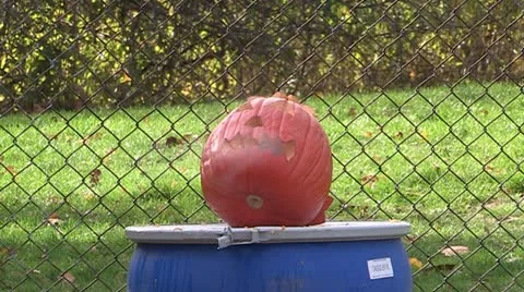 Halloween pumpkin explosion in science experiment Video stock 22243257