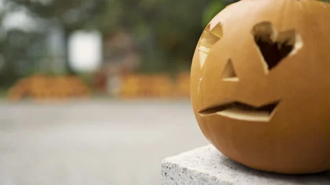 Halloween pumpkin exposition at backyard Stock Footage 141286436