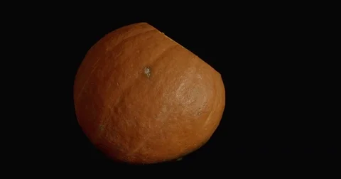 Halloween pumpkin Stock Footage 83452970