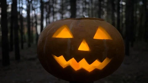 Halloween pumpkin in the forest Stock Footage 116478502