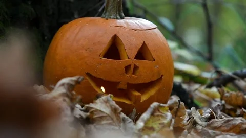Halloween pumpkin in forest Stock Footage 141150472