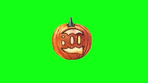 Halloween Pumpkin Green Screen Chroma Key Loop Animation 4K Stock Footage 340844521