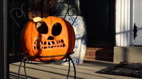 Halloween Pumpkin HD Stock Footage 8975786