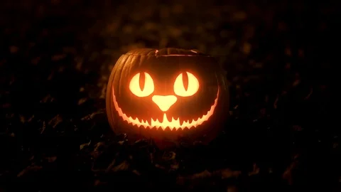 Halloween pumpkin head Jack O Lantern at night Stock Footage 118722015