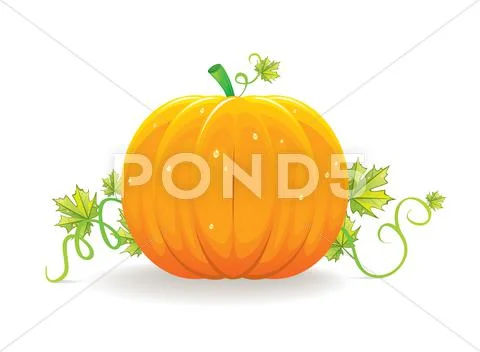 Halloween pumpkin Stock Illustration