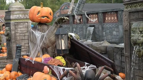 Halloween, pumpkin man opens the coffin Stock Footage 219584479