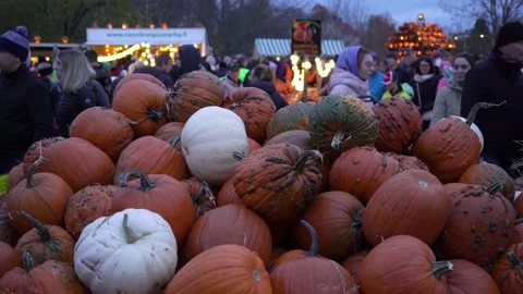 Halloween Pumpkin Park Stock Footage 219735301