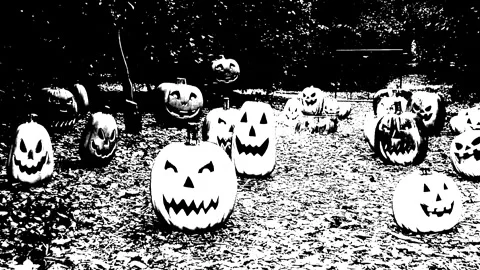 Halloween Pumpkin Patch Black &amp; White Graphic Novel Look Zoom Stock Footage Video stock 253862321
