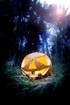 Halloween pumpkin Stock Photos