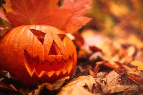 Halloween pumpkin Stock Photos