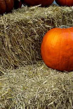 Halloween pumpkin Stock Photos