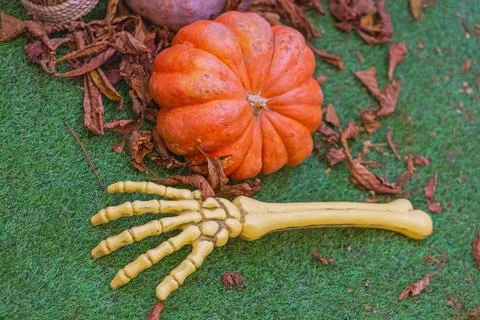 Halloween Pumpkin Skeleton Hand Stock Photos