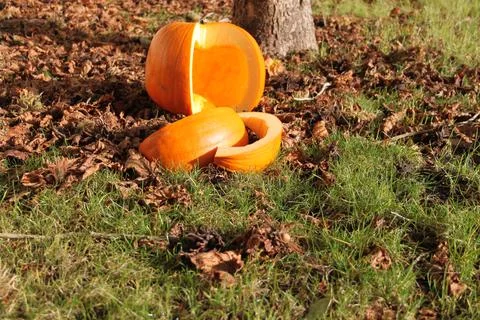 Halloween Pumpkin sliced open Stock Photos