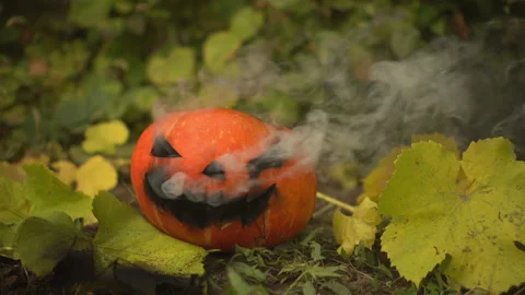 Halloween pumpkin is smoking. Jack lantern lies on the ground at the holiday. Stock-Footage 162773975