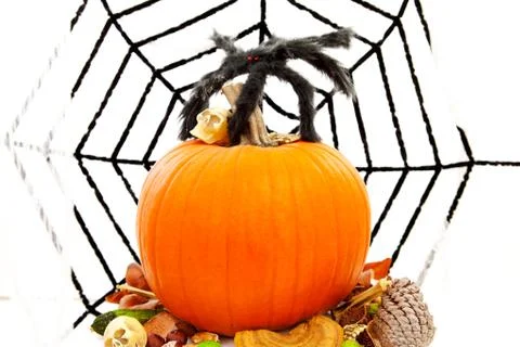 Halloween pumpkin with spiderweb Stock Photos