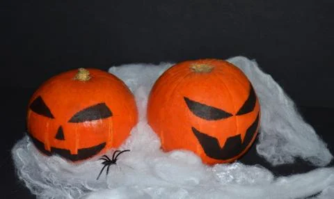 Halloween pumpkin on the web. Stock Photos