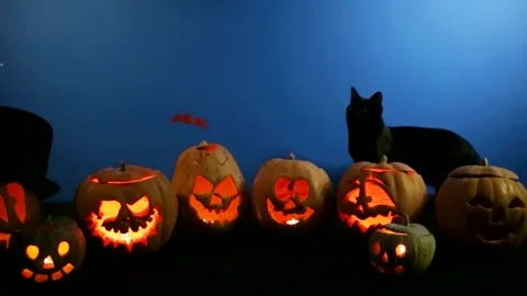Halloween pumpkins and black cat Stock Footage 139705189
