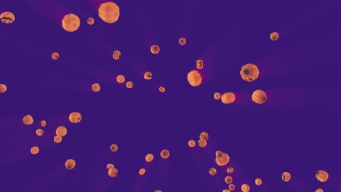 Halloween Pumpkins Explosion on Background Stock Footage 252557307