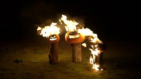 Halloween pumpkins in fire on tree log in darkness, field, mist, dusk. Scary Stock Footage 81654205