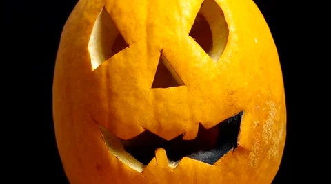 Halloween pumpkins Stock Footage 43981629
