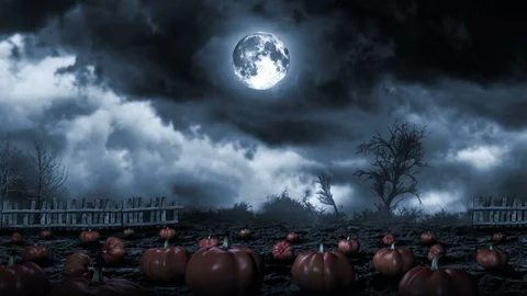 Halloween Pumpkins Stock Footage 112645225