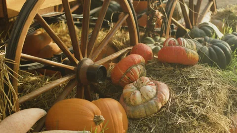 Halloween pumpkins 库存影片 346706396
