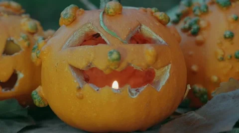 Halloween pumpkins over a tree trunk with autumn decoration close up Video stock 55849908