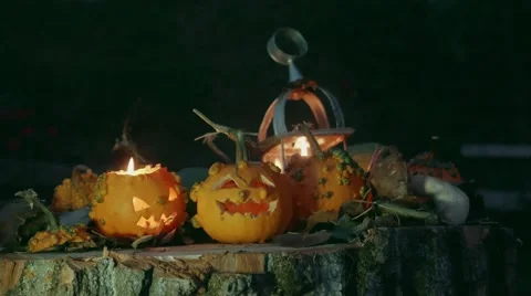 Halloween pumpkins over a tree trunk with autumn decoration Video stock 55849953