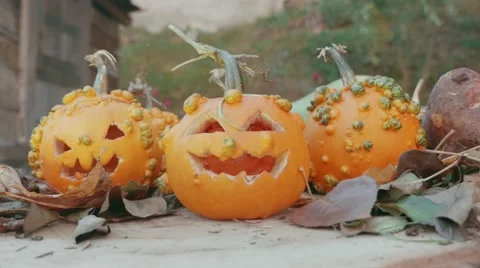 Halloween pumpkins over a tree trunk with autumn decoration Video stock 55850077