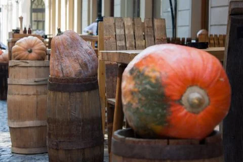 Halloween pumpkins Foto stock