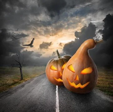 Halloween pumpkins Stock Photos
