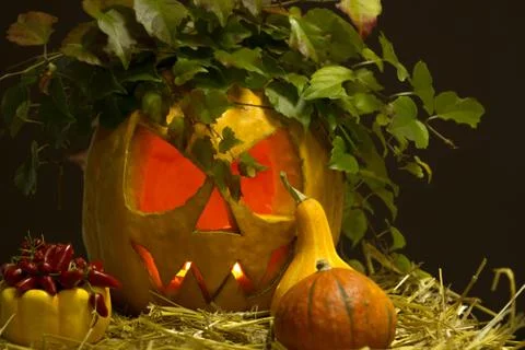 Halloween pumpkins Stock Photos