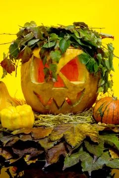 Halloween pumpkins Stock Photos