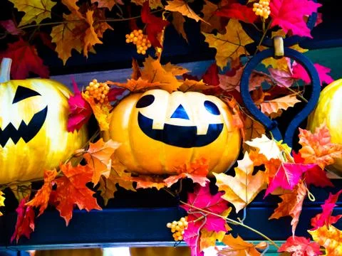 Halloween pumpkins Stock Photos