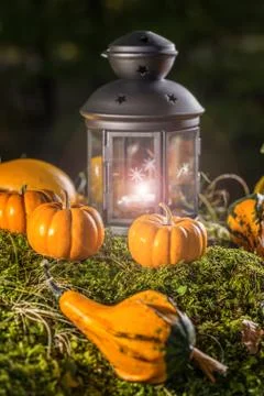 Halloween pumpkins Stock Photos